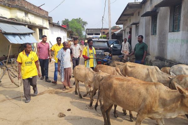 Image gallery marquee