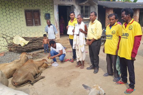 Image gallery marquee